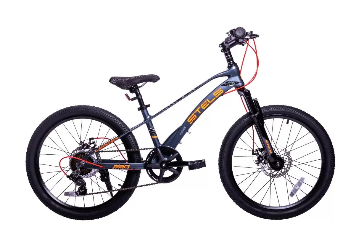 Stels LEADER 220
